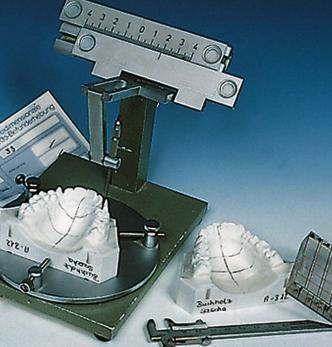 Auswertung der Kiefermodelle