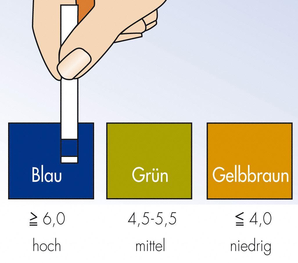 Sichtbarmachung der bakteriellen Zahnbeläge
